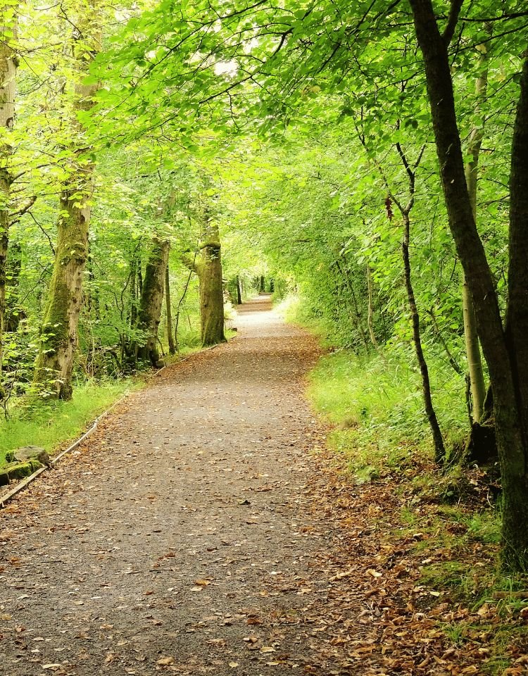 begeleiding-en-herstel-psychologiepraktijk-flow