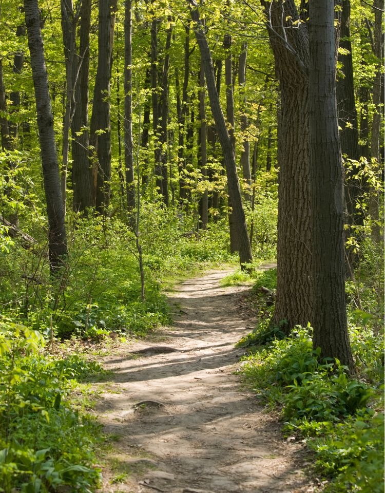 eerste-contact-psychologiepraktijk-flow