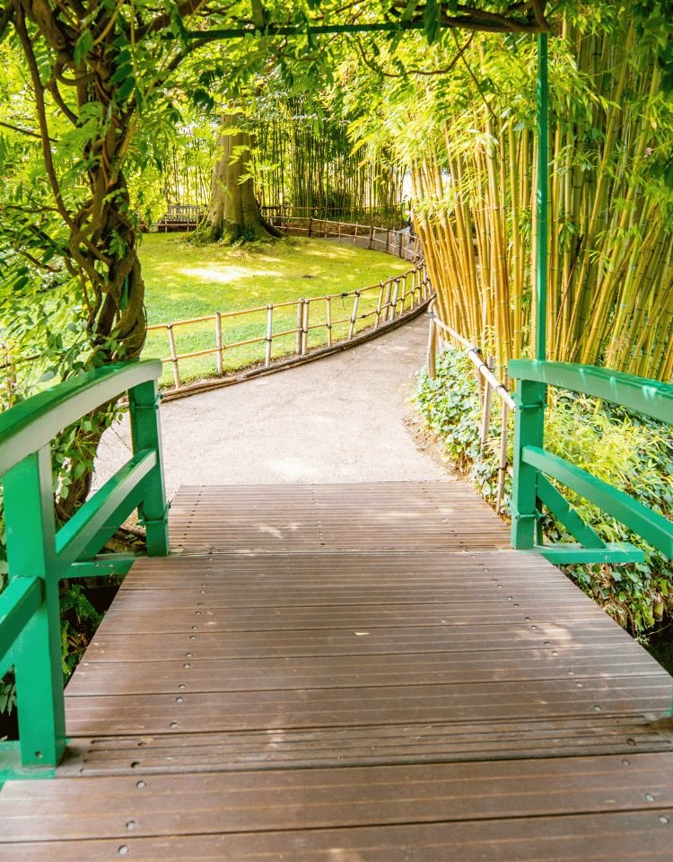 verkennend gesprek-psychologiepraktijk-flow