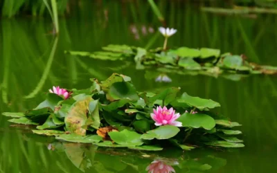 zelfvertrouwen opbouwen