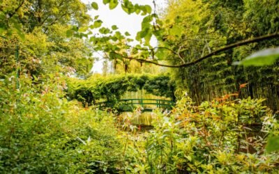 Stoppen met piekeren