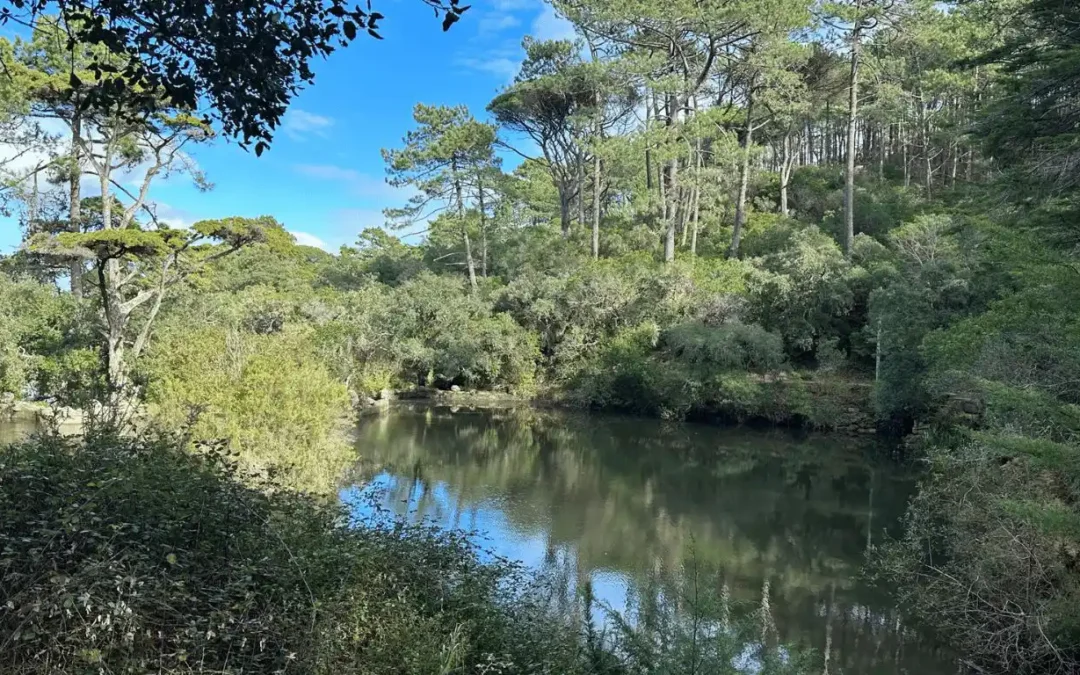 Negatief zelfbeeld doorbreken